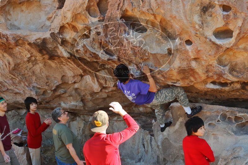 Bouldering in Hueco Tanks on 12/26/2019 with Blue Lizard Climbing and Yoga

Filename: SRM_20191226_1119070.jpg
Aperture: f/4.5
Shutter Speed: 1/250
Body: Canon EOS-1D Mark II
Lens: Canon EF 50mm f/1.8 II