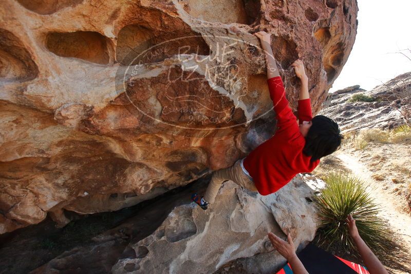 Bouldering in Hueco Tanks on 12/26/2019 with Blue Lizard Climbing and Yoga

Filename: SRM_20191226_1135460.jpg
Aperture: f/5.6
Shutter Speed: 1/500
Body: Canon EOS-1D Mark II
Lens: Canon EF 16-35mm f/2.8 L