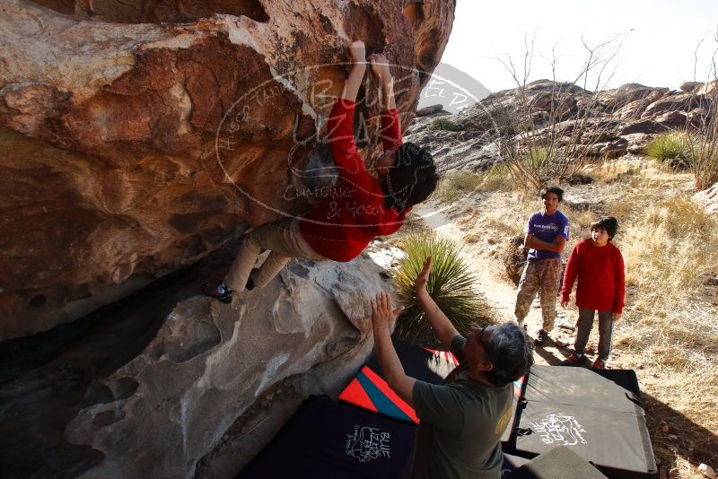 Bouldering in Hueco Tanks on 12/26/2019 with Blue Lizard Climbing and Yoga

Filename: SRM_20191226_1144550.jpg
Aperture: f/9.0
Shutter Speed: 1/320
Body: Canon EOS-1D Mark II
Lens: Canon EF 16-35mm f/2.8 L