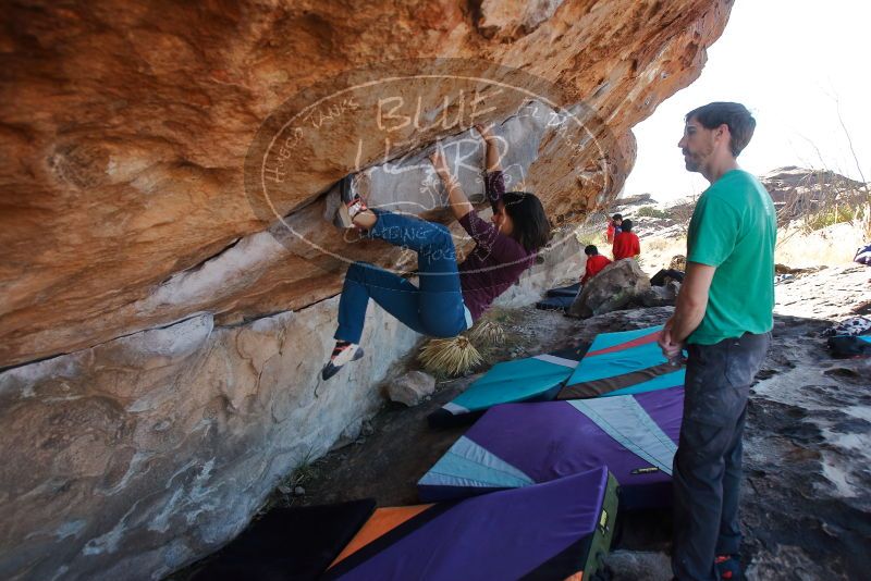 Bouldering in Hueco Tanks on 12/26/2019 with Blue Lizard Climbing and Yoga

Filename: SRM_20191226_1151310.jpg
Aperture: f/4.5
Shutter Speed: 1/320
Body: Canon EOS-1D Mark II
Lens: Canon EF 16-35mm f/2.8 L