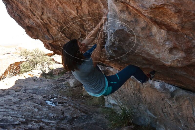 Bouldering in Hueco Tanks on 12/26/2019 with Blue Lizard Climbing and Yoga

Filename: SRM_20191226_1212310.jpg
Aperture: f/6.3
Shutter Speed: 1/320
Body: Canon EOS-1D Mark II
Lens: Canon EF 16-35mm f/2.8 L