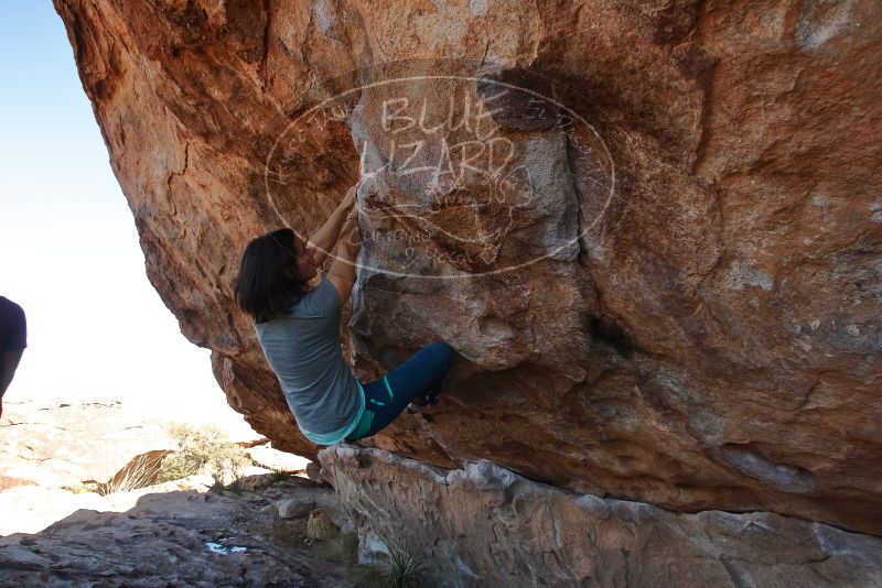 Bouldering in Hueco Tanks on 12/26/2019 with Blue Lizard Climbing and Yoga
Filename: SRM_20191226_1212410.jpg
Aperture: f/5.6
Shutter Speed: 1/320
Body: Canon EOS-1D Mark II
Lens: Canon EF 16-35mm f/2.8 L