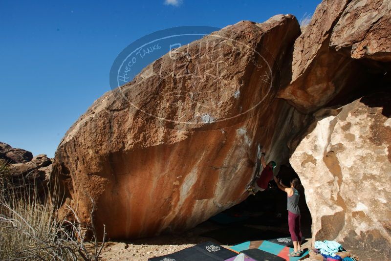 Bouldering in Hueco Tanks on 12/26/2019 with Blue Lizard Climbing and Yoga
Filename: SRM_20191226_1314400.jpg
Aperture: f/8.0
Shutter Speed: 1/250
Body: Canon EOS-1D Mark II
Lens: Canon EF 16-35mm f/2.8 L