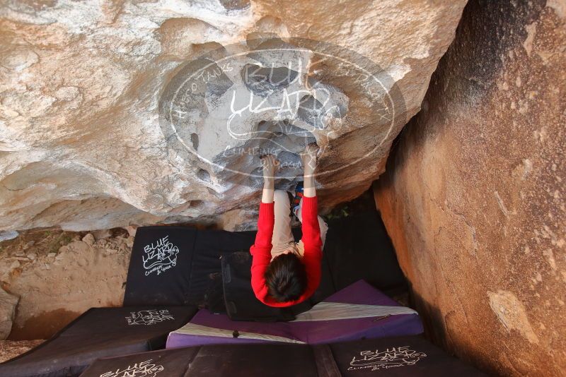 Bouldering in Hueco Tanks on 12/26/2019 with Blue Lizard Climbing and Yoga

Filename: SRM_20191226_1456490.jpg
Aperture: f/4.0
Shutter Speed: 1/250
Body: Canon EOS-1D Mark II
Lens: Canon EF 16-35mm f/2.8 L