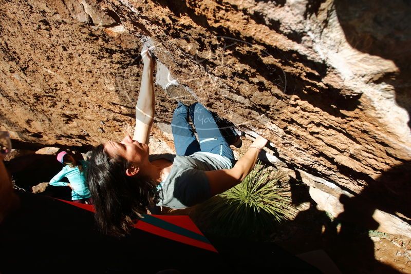 Bouldering in Hueco Tanks on 12/26/2019 with Blue Lizard Climbing and Yoga

Filename: SRM_20191226_1508190.jpg
Aperture: f/5.0
Shutter Speed: 1/400
Body: Canon EOS-1D Mark II
Lens: Canon EF 16-35mm f/2.8 L