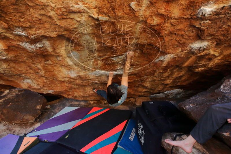 Bouldering in Hueco Tanks on 12/26/2019 with Blue Lizard Climbing and Yoga

Filename: SRM_20191226_1601290.jpg
Aperture: f/4.5
Shutter Speed: 1/250
Body: Canon EOS-1D Mark II
Lens: Canon EF 16-35mm f/2.8 L