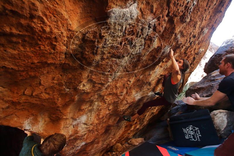 Bouldering in Hueco Tanks on 12/26/2019 with Blue Lizard Climbing and Yoga
Filename: SRM_20191226_1612510.jpg
Aperture: f/4.0
Shutter Speed: 1/250
Body: Canon EOS-1D Mark II
Lens: Canon EF 16-35mm f/2.8 L