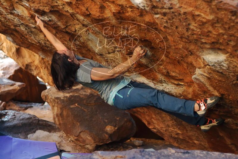 Bouldering in Hueco Tanks on 12/26/2019 with Blue Lizard Climbing and Yoga

Filename: SRM_20191226_1709591.jpg
Aperture: f/2.8
Shutter Speed: 1/320
Body: Canon EOS-1D Mark II
Lens: Canon EF 50mm f/1.8 II