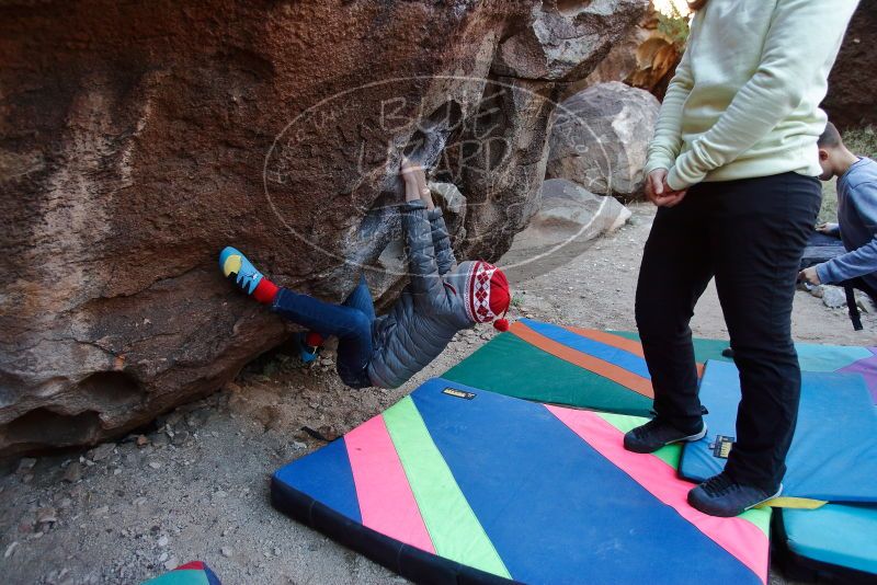 Bouldering in Hueco Tanks on 12/27/2019 with Blue Lizard Climbing and Yoga

Filename: SRM_20191227_1015490.jpg
Aperture: f/4.0
Shutter Speed: 1/250
Body: Canon EOS-1D Mark II
Lens: Canon EF 16-35mm f/2.8 L