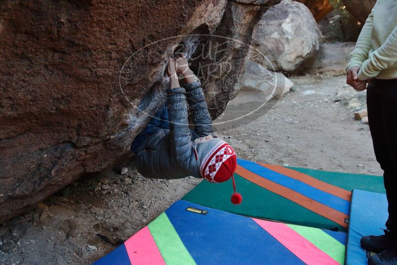 Bouldering in Hueco Tanks on 12/27/2019 with Blue Lizard Climbing and Yoga

Filename: SRM_20191227_1016460.jpg
Aperture: f/4.5
Shutter Speed: 1/250
Body: Canon EOS-1D Mark II
Lens: Canon EF 16-35mm f/2.8 L