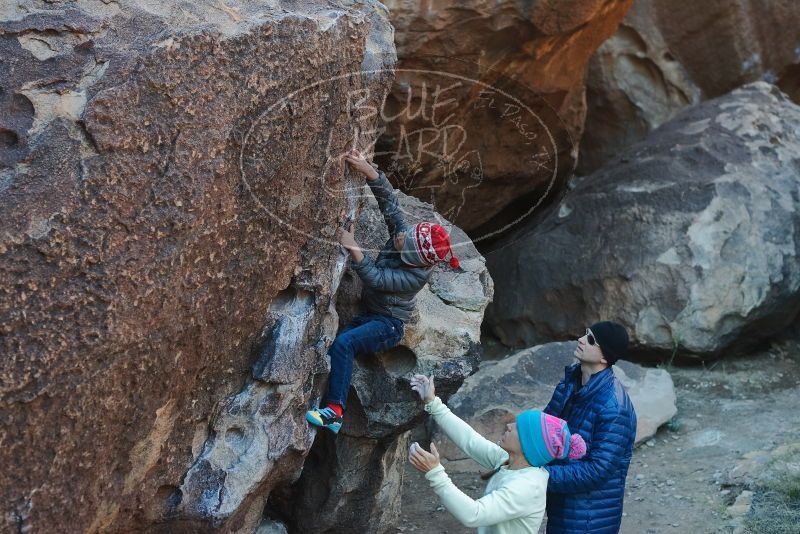 Bouldering in Hueco Tanks on 12/27/2019 with Blue Lizard Climbing and Yoga

Filename: SRM_20191227_1030330.jpg
Aperture: f/4.0
Shutter Speed: 1/320
Body: Canon EOS-1D Mark II
Lens: Canon EF 50mm f/1.8 II