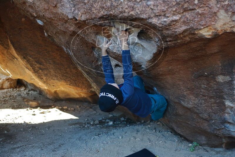 Bouldering in Hueco Tanks on 12/27/2019 with Blue Lizard Climbing and Yoga

Filename: SRM_20191227_1036060.jpg
Aperture: f/2.8
Shutter Speed: 1/320
Body: Canon EOS-1D Mark II
Lens: Canon EF 50mm f/1.8 II