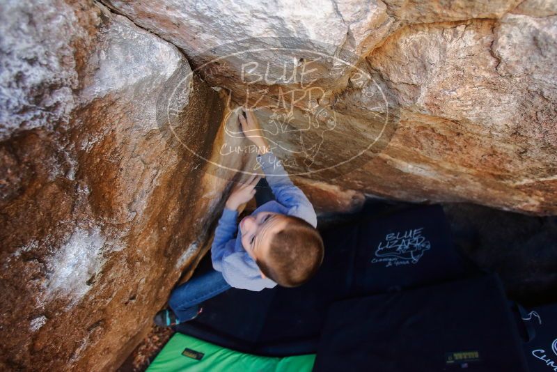 Bouldering in Hueco Tanks on 12/27/2019 with Blue Lizard Climbing and Yoga

Filename: SRM_20191227_1046131.jpg
Aperture: f/4.0
Shutter Speed: 1/250
Body: Canon EOS-1D Mark II
Lens: Canon EF 16-35mm f/2.8 L