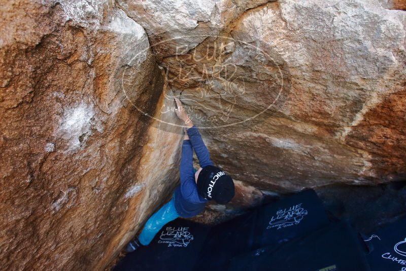 Bouldering in Hueco Tanks on 12/27/2019 with Blue Lizard Climbing and Yoga

Filename: SRM_20191227_1049060.jpg
Aperture: f/4.5
Shutter Speed: 1/250
Body: Canon EOS-1D Mark II
Lens: Canon EF 16-35mm f/2.8 L