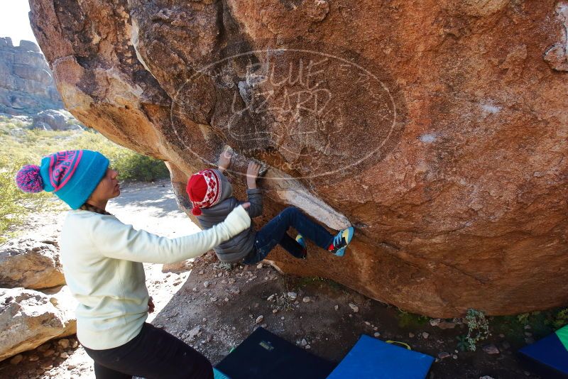 Bouldering in Hueco Tanks on 12/27/2019 with Blue Lizard Climbing and Yoga

Filename: SRM_20191227_1103310.jpg
Aperture: f/5.6
Shutter Speed: 1/250
Body: Canon EOS-1D Mark II
Lens: Canon EF 16-35mm f/2.8 L