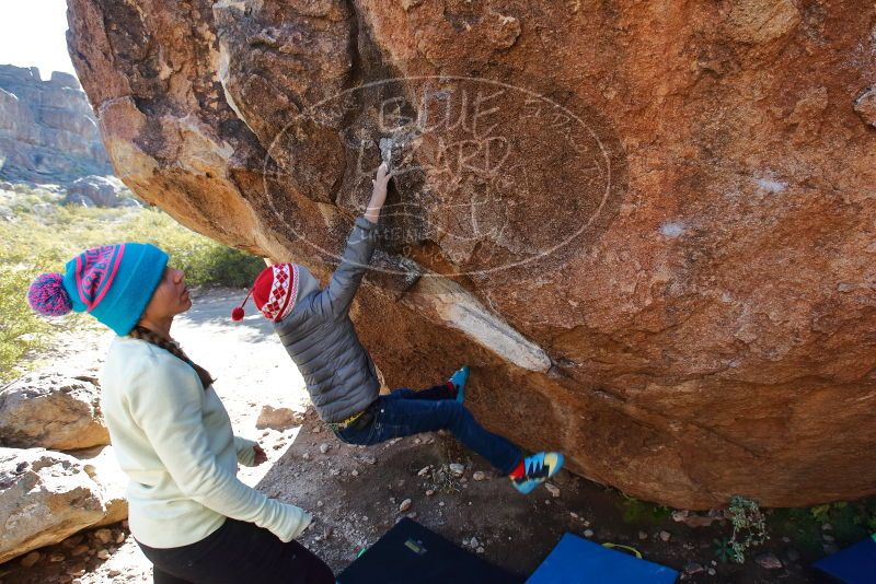 Bouldering in Hueco Tanks on 12/27/2019 with Blue Lizard Climbing and Yoga

Filename: SRM_20191227_1103320.jpg
Aperture: f/6.3
Shutter Speed: 1/250
Body: Canon EOS-1D Mark II
Lens: Canon EF 16-35mm f/2.8 L