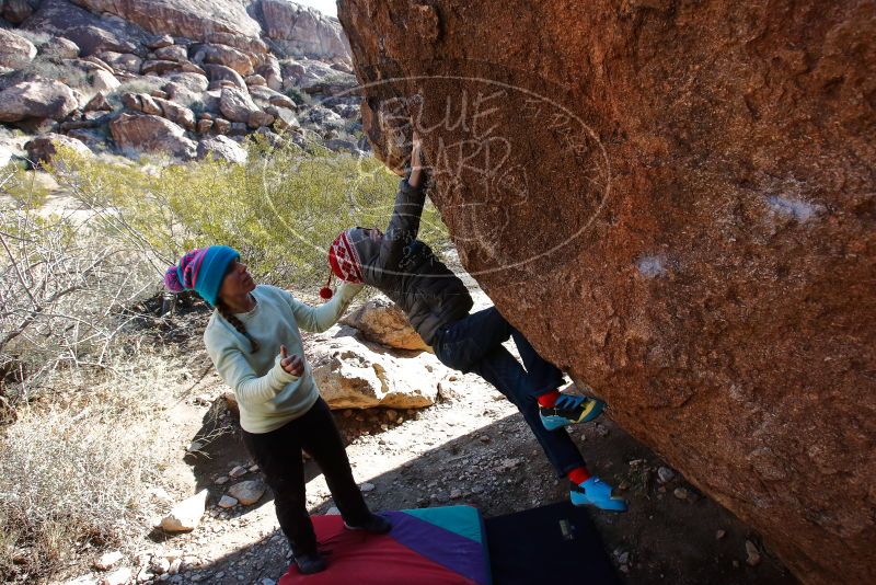 Bouldering in Hueco Tanks on 12/27/2019 with Blue Lizard Climbing and Yoga

Filename: SRM_20191227_1104140.jpg
Aperture: f/8.0
Shutter Speed: 1/250
Body: Canon EOS-1D Mark II
Lens: Canon EF 16-35mm f/2.8 L