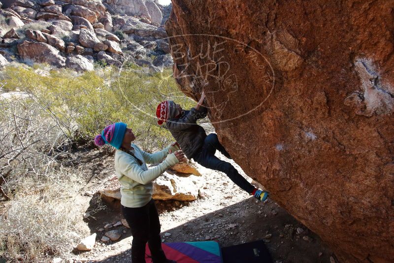 Bouldering in Hueco Tanks on 12/27/2019 with Blue Lizard Climbing and Yoga

Filename: SRM_20191227_1106270.jpg
Aperture: f/8.0
Shutter Speed: 1/250
Body: Canon EOS-1D Mark II
Lens: Canon EF 16-35mm f/2.8 L