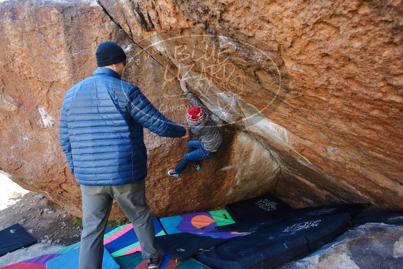 Bouldering in Hueco Tanks on 12/27/2019 with Blue Lizard Climbing and Yoga

Filename: SRM_20191227_1109541.jpg
Aperture: f/4.0
Shutter Speed: 1/250
Body: Canon EOS-1D Mark II
Lens: Canon EF 16-35mm f/2.8 L