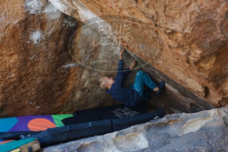 Bouldering in Hueco Tanks on 12/27/2019 with Blue Lizard Climbing and Yoga

Filename: SRM_20191227_1206280.jpg
Aperture: f/4.0
Shutter Speed: 1/320
Body: Canon EOS-1D Mark II
Lens: Canon EF 50mm f/1.8 II