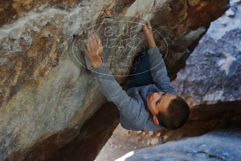 Bouldering in Hueco Tanks on 12/27/2019 with Blue Lizard Climbing and Yoga

Filename: SRM_20191227_1225560.jpg
Aperture: f/4.0
Shutter Speed: 1/320
Body: Canon EOS-1D Mark II
Lens: Canon EF 50mm f/1.8 II