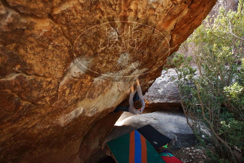 Bouldering in Hueco Tanks on 12/27/2019 with Blue Lizard Climbing and Yoga

Filename: SRM_20191227_1227030.jpg
Aperture: f/3.5
Shutter Speed: 1/250
Body: Canon EOS-1D Mark II
Lens: Canon EF 16-35mm f/2.8 L