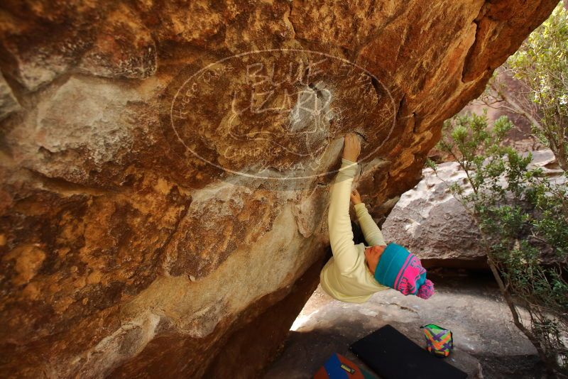 Bouldering in Hueco Tanks on 12/27/2019 with Blue Lizard Climbing and Yoga

Filename: SRM_20191227_1235540.jpg
Aperture: f/4.5
Shutter Speed: 1/250
Body: Canon EOS-1D Mark II
Lens: Canon EF 16-35mm f/2.8 L