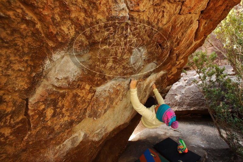 Bouldering in Hueco Tanks on 12/27/2019 with Blue Lizard Climbing and Yoga

Filename: SRM_20191227_1236350.jpg
Aperture: f/4.5
Shutter Speed: 1/250
Body: Canon EOS-1D Mark II
Lens: Canon EF 16-35mm f/2.8 L