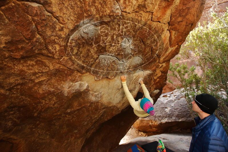 Bouldering in Hueco Tanks on 12/27/2019 with Blue Lizard Climbing and Yoga

Filename: SRM_20191227_1238290.jpg
Aperture: f/4.5
Shutter Speed: 1/250
Body: Canon EOS-1D Mark II
Lens: Canon EF 16-35mm f/2.8 L