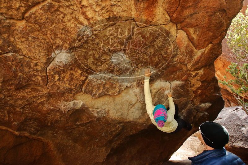 Bouldering in Hueco Tanks on 12/27/2019 with Blue Lizard Climbing and Yoga

Filename: SRM_20191227_1241480.jpg
Aperture: f/4.5
Shutter Speed: 1/250
Body: Canon EOS-1D Mark II
Lens: Canon EF 16-35mm f/2.8 L