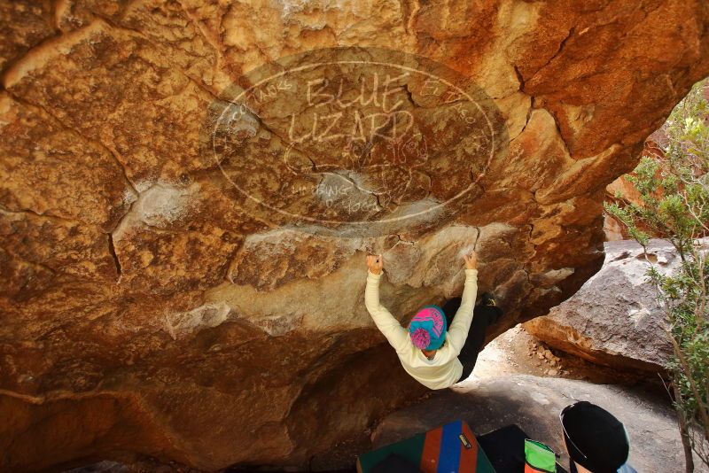 Bouldering in Hueco Tanks on 12/27/2019 with Blue Lizard Climbing and Yoga

Filename: SRM_20191227_1242560.jpg
Aperture: f/4.0
Shutter Speed: 1/250
Body: Canon EOS-1D Mark II
Lens: Canon EF 16-35mm f/2.8 L