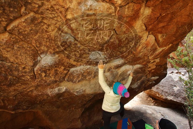 Bouldering in Hueco Tanks on 12/27/2019 with Blue Lizard Climbing and Yoga

Filename: SRM_20191227_1243000.jpg
Aperture: f/3.5
Shutter Speed: 1/250
Body: Canon EOS-1D Mark II
Lens: Canon EF 16-35mm f/2.8 L