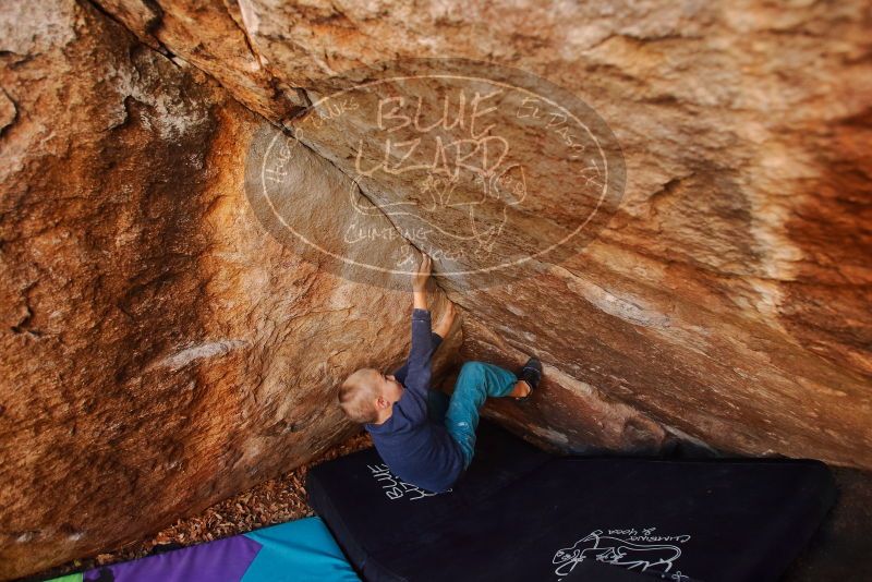 Bouldering in Hueco Tanks on 12/27/2019 with Blue Lizard Climbing and Yoga

Filename: SRM_20191227_1255590.jpg
Aperture: f/4.0
Shutter Speed: 1/250
Body: Canon EOS-1D Mark II
Lens: Canon EF 16-35mm f/2.8 L