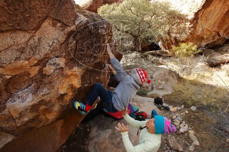 Bouldering in Hueco Tanks on 12/27/2019 with Blue Lizard Climbing and Yoga

Filename: SRM_20191227_1333480.jpg
Aperture: f/7.1
Shutter Speed: 1/320
Body: Canon EOS-1D Mark II
Lens: Canon EF 16-35mm f/2.8 L