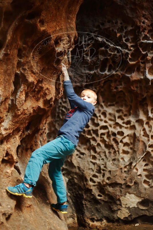 Bouldering in Hueco Tanks on 12/27/2019 with Blue Lizard Climbing and Yoga

Filename: SRM_20191227_1556490.jpg
Aperture: f/1.8
Shutter Speed: 1/125
Body: Canon EOS-1D Mark II
Lens: Canon EF 50mm f/1.8 II