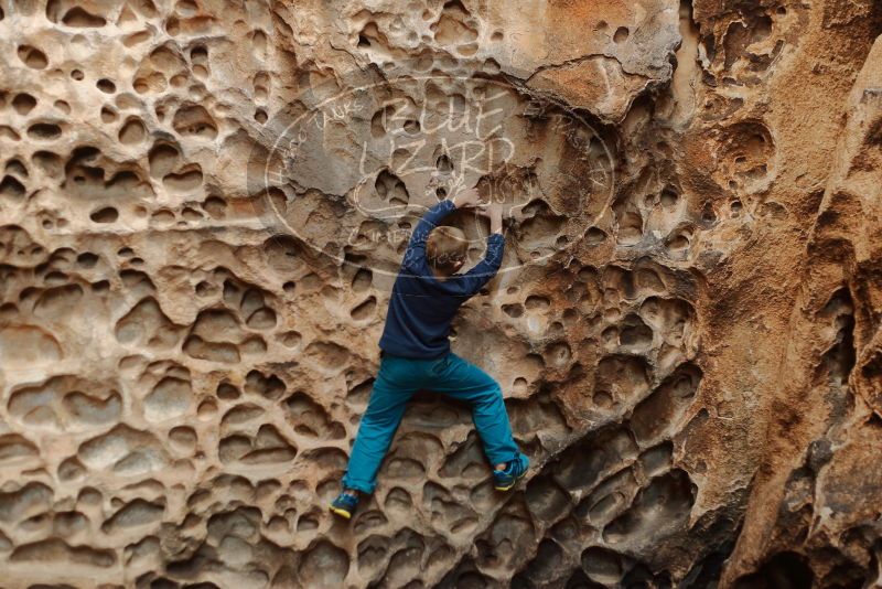 Bouldering in Hueco Tanks on 12/27/2019 with Blue Lizard Climbing and Yoga

Filename: SRM_20191227_1600150.jpg
Aperture: f/2.5
Shutter Speed: 1/250
Body: Canon EOS-1D Mark II
Lens: Canon EF 50mm f/1.8 II