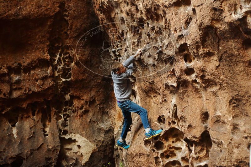 Bouldering in Hueco Tanks on 12/27/2019 with Blue Lizard Climbing and Yoga

Filename: SRM_20191227_1600370.jpg
Aperture: f/2.2
Shutter Speed: 1/250
Body: Canon EOS-1D Mark II
Lens: Canon EF 50mm f/1.8 II