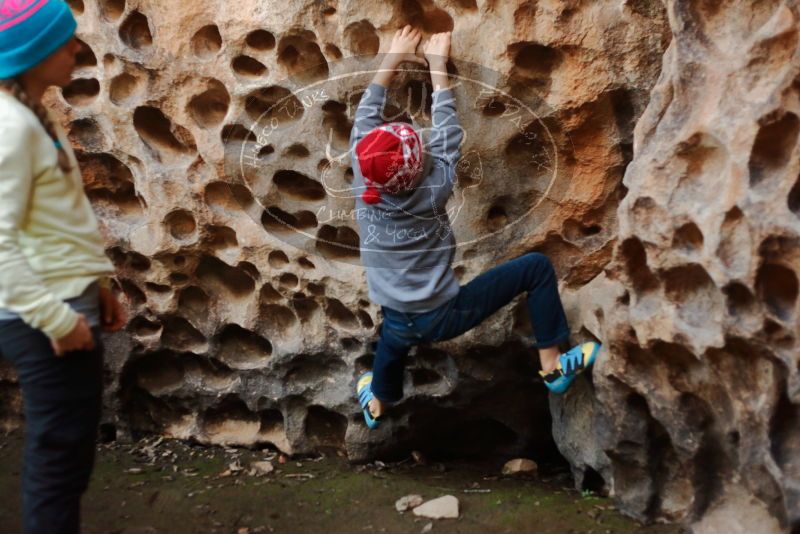 Bouldering in Hueco Tanks on 12/27/2019 with Blue Lizard Climbing and Yoga

Filename: SRM_20191227_1601280.jpg
Aperture: f/2.5
Shutter Speed: 1/160
Body: Canon EOS-1D Mark II
Lens: Canon EF 50mm f/1.8 II