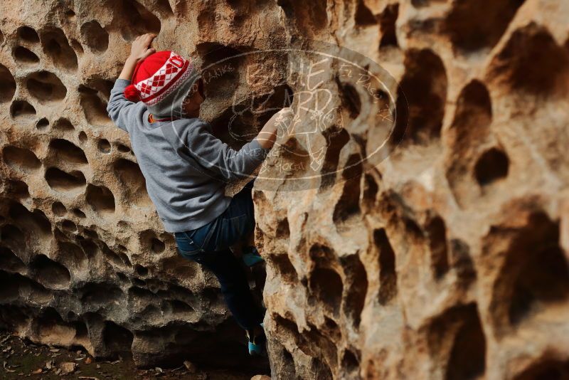 Bouldering in Hueco Tanks on 12/27/2019 with Blue Lizard Climbing and Yoga

Filename: SRM_20191227_1607230.jpg
Aperture: f/3.5
Shutter Speed: 1/200
Body: Canon EOS-1D Mark II
Lens: Canon EF 50mm f/1.8 II