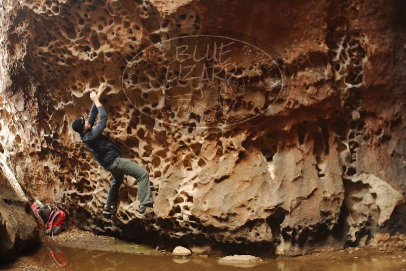 Bouldering in Hueco Tanks on 12/27/2019 with Blue Lizard Climbing and Yoga

Filename: SRM_20191227_1609200.jpg
Aperture: f/2.8
Shutter Speed: 1/125
Body: Canon EOS-1D Mark II
Lens: Canon EF 50mm f/1.8 II