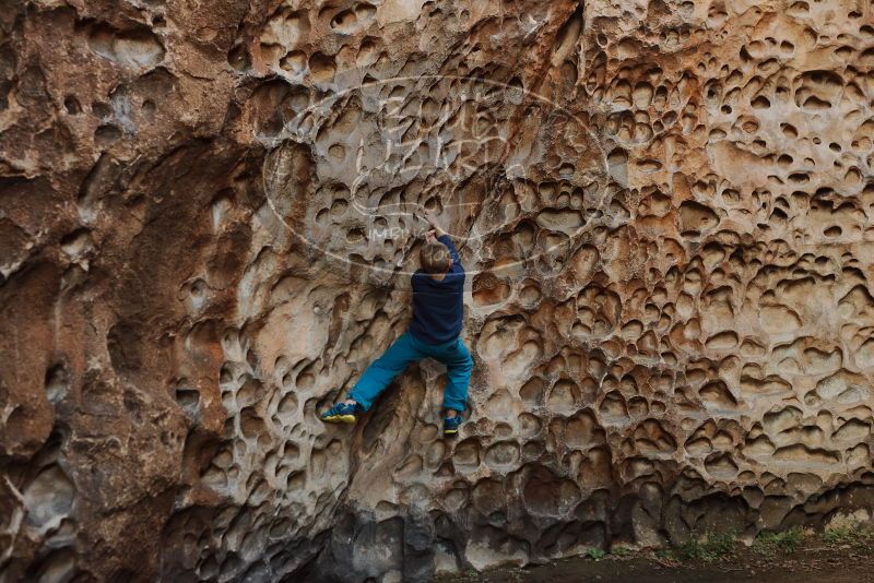 Bouldering in Hueco Tanks on 12/27/2019 with Blue Lizard Climbing and Yoga

Filename: SRM_20191227_1620210.jpg
Aperture: f/3.5
Shutter Speed: 1/160
Body: Canon EOS-1D Mark II
Lens: Canon EF 50mm f/1.8 II