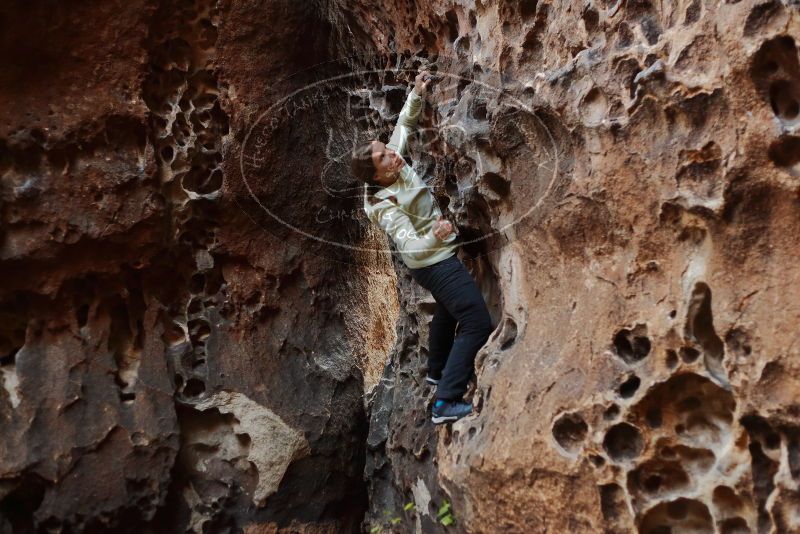 Bouldering in Hueco Tanks on 12/27/2019 with Blue Lizard Climbing and Yoga

Filename: SRM_20191227_1625320.jpg
Aperture: f/2.5
Shutter Speed: 1/160
Body: Canon EOS-1D Mark II
Lens: Canon EF 50mm f/1.8 II