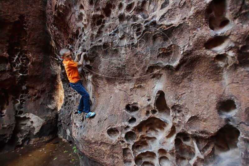 Bouldering in Hueco Tanks on 12/27/2019 with Blue Lizard Climbing and Yoga

Filename: SRM_20191227_1649490.jpg
Aperture: f/2.8
Shutter Speed: 1/100
Body: Canon EOS-1D Mark II
Lens: Canon EF 16-35mm f/2.8 L