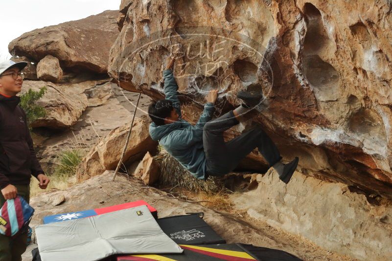 Bouldering in Hueco Tanks on 12/28/2019 with Blue Lizard Climbing and Yoga

Filename: SRM_20191228_1104580.jpg
Aperture: f/22.0
Shutter Speed: 1/160
Body: Canon EOS-1D Mark II
Lens: Canon EF 50mm f/1.8 II