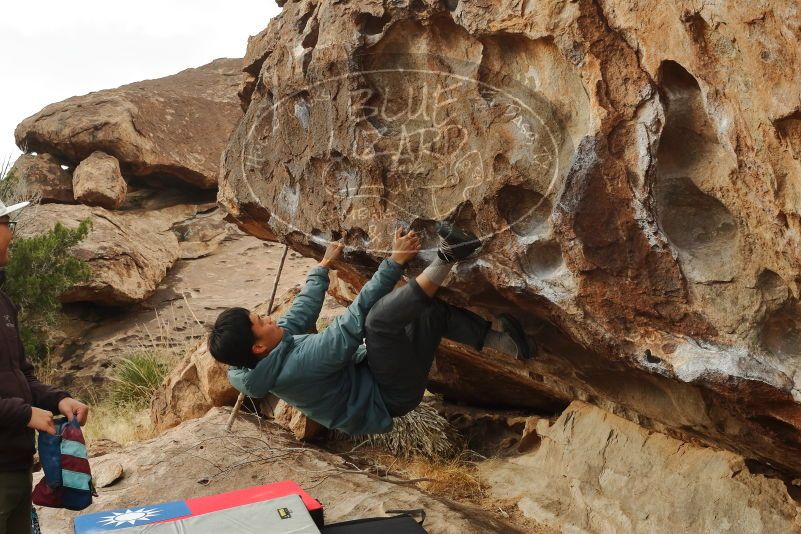 Bouldering in Hueco Tanks on 12/28/2019 with Blue Lizard Climbing and Yoga

Filename: SRM_20191228_1105040.jpg
Aperture: f/14.0
Shutter Speed: 1/100
Body: Canon EOS-1D Mark II
Lens: Canon EF 50mm f/1.8 II