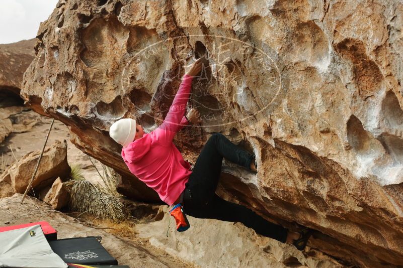 Bouldering in Hueco Tanks on 12/28/2019 with Blue Lizard Climbing and Yoga

Filename: SRM_20191228_1107500.jpg
Aperture: f/5.0
Shutter Speed: 1/250
Body: Canon EOS-1D Mark II
Lens: Canon EF 50mm f/1.8 II