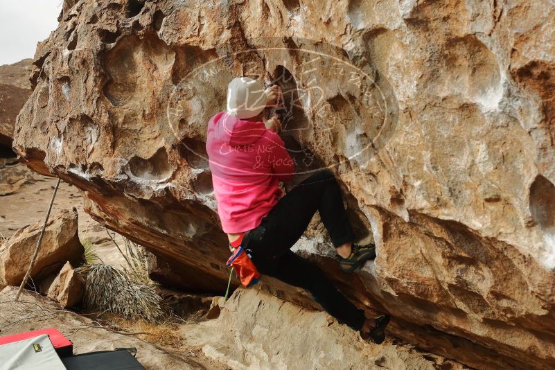 Bouldering in Hueco Tanks on 12/28/2019 with Blue Lizard Climbing and Yoga

Filename: SRM_20191228_1107550.jpg
Aperture: f/5.0
Shutter Speed: 1/250
Body: Canon EOS-1D Mark II
Lens: Canon EF 50mm f/1.8 II