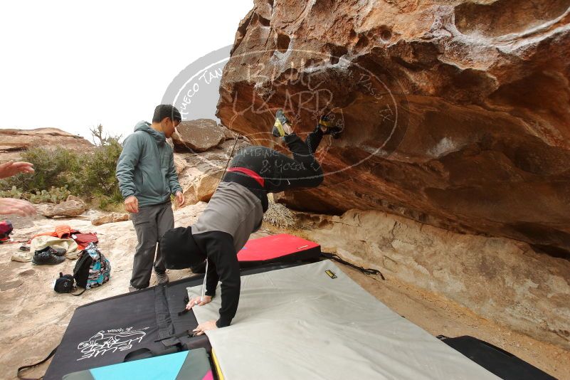 Bouldering in Hueco Tanks on 12/28/2019 with Blue Lizard Climbing and Yoga

Filename: SRM_20191228_1135260.jpg
Aperture: f/5.0
Shutter Speed: 1/250
Body: Canon EOS-1D Mark II
Lens: Canon EF 16-35mm f/2.8 L