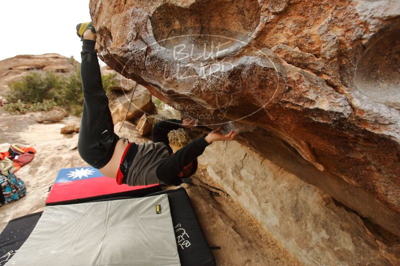 Bouldering in Hueco Tanks on 12/28/2019 with Blue Lizard Climbing and Yoga

Filename: SRM_20191228_1143140.jpg
Aperture: f/5.0
Shutter Speed: 1/250
Body: Canon EOS-1D Mark II
Lens: Canon EF 16-35mm f/2.8 L