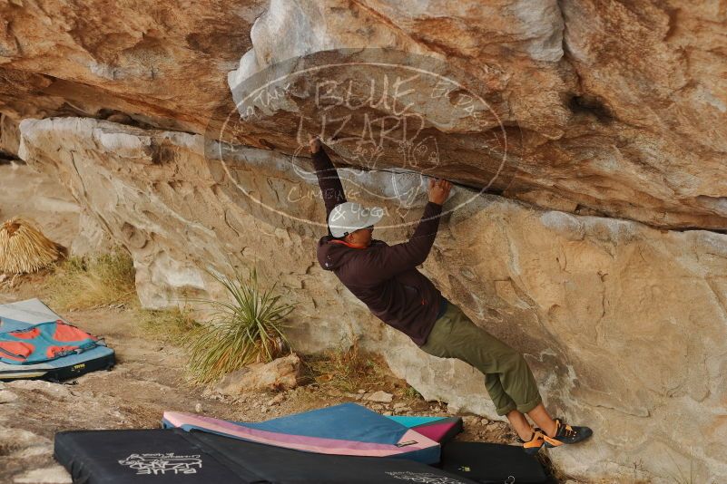 Bouldering in Hueco Tanks on 12/28/2019 with Blue Lizard Climbing and Yoga

Filename: SRM_20191228_1243540.jpg
Aperture: f/3.2
Shutter Speed: 1/500
Body: Canon EOS-1D Mark II
Lens: Canon EF 50mm f/1.8 II